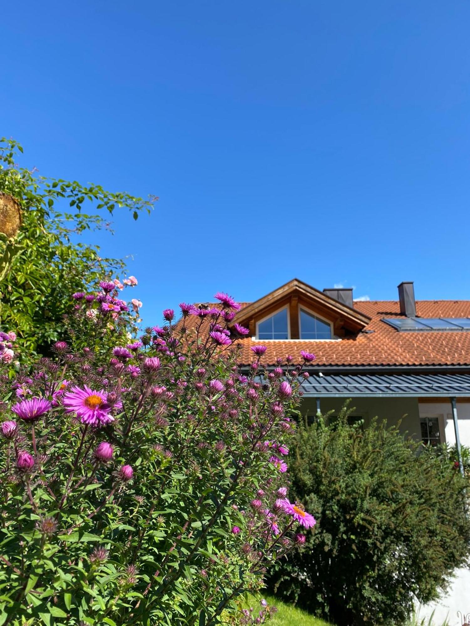 Alpenzeit Apartment