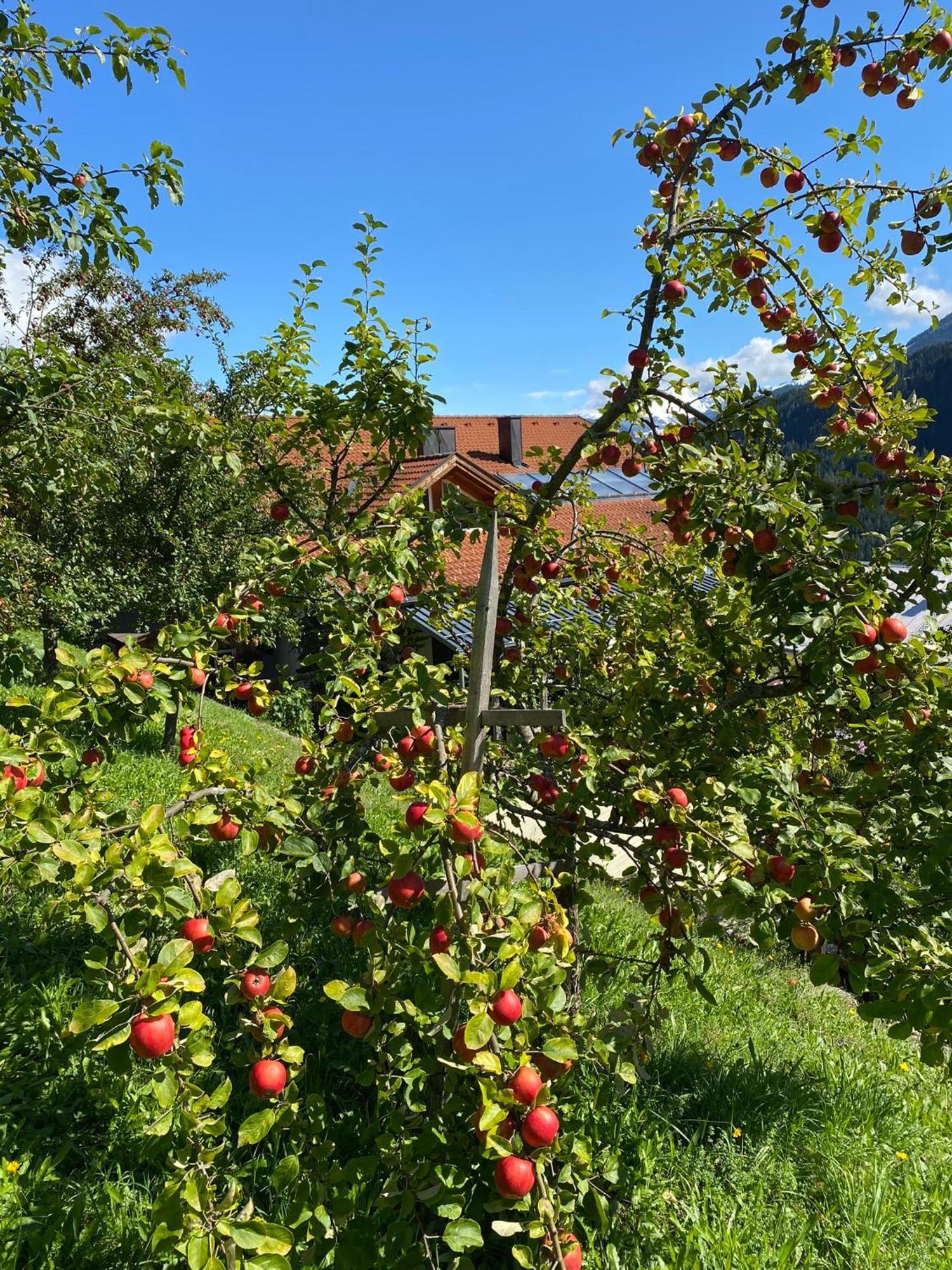 Alpenzeit Apartment Arzl im Pitztal
